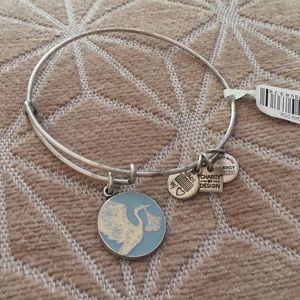 Alex and Ani Bracelet